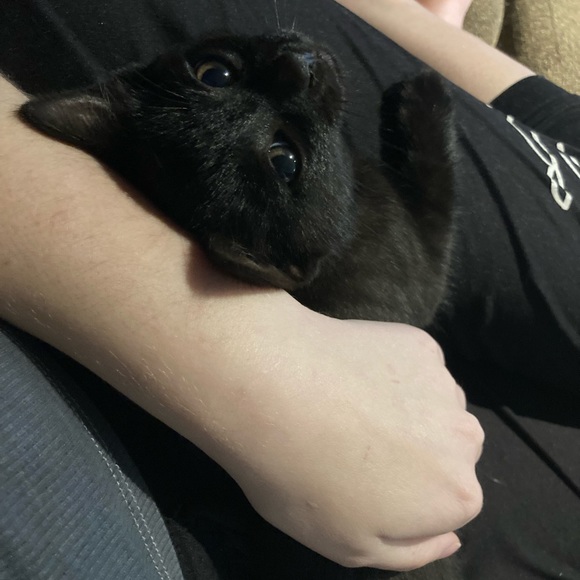 P L E A S E R E A D - Picture 9 of 10